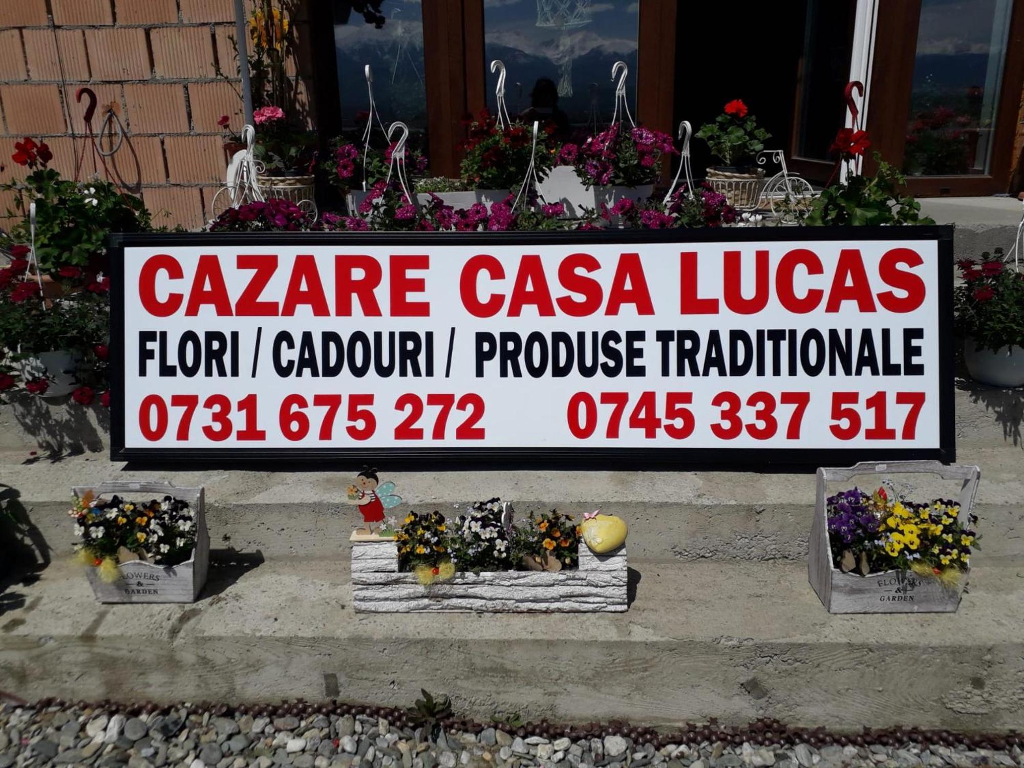 Casa Lucas Hotel Bradu  Buitenkant foto